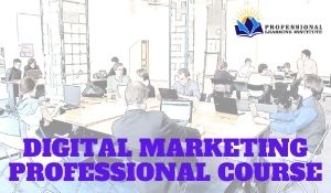 DIGITAL MARKETING PROFESSIONAL